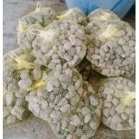 ราคา หินภูเขาไฟ พร้อมถุงตาข่าย ใส่กรองตู้ปลา ใส่กรองบ่อปลา ช่วยให้น้ำใส 1ถุง (22186206708)