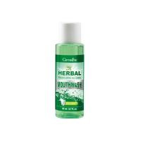 ราคา ส่งฟรี น้ำยาบ้วนปาก กิฟฟารีน สูตร ไม่มีแอลกอฮอล์ Herbal Fresh Zero Alcohol Mouthwash GIFFARINE ดูแลสุขภาพช่องปาก (21160435340)