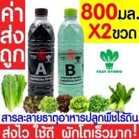 ราคา โค้ดส่งฟรี เมล็ดผัก รวมผักกาด เมล็ดพืชผัก สวนครัว งอกดี ปลูกผัก ปลูกไว้ทานเอง เมล็ดผักรวม ผักกาดขาวปลี ผักกาดหัว (21401183962)