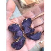 ราคา หัวกระชายดำพร้อมปลูกจำนวน 3 แง่ง (6482008654)