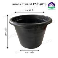 ราคา กระถางต้นไม้พลาสติก กระถางพลาสติก กระถางปลูกต้นไม้ สีดำ ขนาด 2 5 3 4 5 6 8 10 12 15 17 นิ้ว (20000584402)