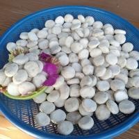 ราคา ลูกแป้งข้าวหมาก ลูกแป้งข้าวหมาก สูตรโบราณ เมืองลับแล รสชาติ หวาน หอม อร่อย ไม่ต้องเติมน้ำตาล บรรจุ 1 ถุงมี 10 ลูก (16432755122)