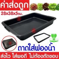 ราคา ค่าส่งถูก ฟองน้ำเพาะกล้า 5แผ่น ฟองน้ำปลูกผัก ฟองน้ำเพาะเมล็ด ปลูกผักไฮโดรโปนิกส์ ฟองน้ำไฮโดร ฟองน้ำเพาะปลูก ไฮโดร ไฮโดรโปนิกส์ เกรดA (20713074771)