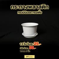 ราคา กระถางพลาสติกทรงเตี้ย กระถางต้นไม้พร้อมจานรองกระถางพร้อมส่ง (8425000798)