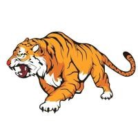 ราคา Creative Tiger สติ๊กเกอร์รถ 3D Eye Catching Design สําหรับรถประตูและ Bonnets ส่วนบุคคลแผ่นตกแต่งสําหรับรถจักรยานยนต์ (21339934697)