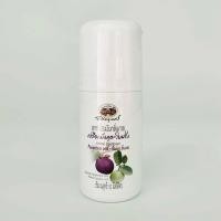 ราคา ลูกกลิ้งระงับกลิ่นกาย เปลือกมังคุด ใบฝรั่ง อภัยภูเบศร 50ml (22663106808)