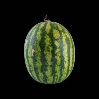 ราคา แตงโม สุ่ม น้ำหนัก 10 กรัม แตงโมกินรี แตงโมแดง แตงโม (22125630387)