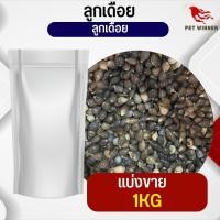 ราคา ลูกเดือย Thai millet อาหารนก กระต่าย กระรอก ชูก้า และสัตว์ฟันแทะ แบ่งขาย 500G 1KG (19768832027)