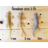 ราคา 1ชุด 3ตัว จิ้งจก จิ้งจกปลอม จิ้งจกแกล้งคน สัตว์ปลอม ของเล่นแกล้งคน (1354506475)