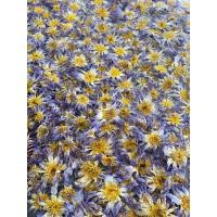 ราคา ดอกบัวแห้ง สายพันธุ์ มิเครนท่า ฟ้า คละไซส์ ราคาต่อ 1 กรัม Dried Nymphaea Micrantha blue assorted size sell by one gram (20780584518)