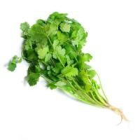 ราคา 500 เมล็ด ผักชี ผักชีลา หรือ ผักหอมป้อม ผักชีลาว ผักชีฝรั่ง ผักสวนครัว (21738212274)