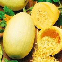 ราคา 10 เมล็ด เมล็ดพันธุ์ ฟักทองสปาเก็ตตี้ Spaghetti Squash seed (22524604364)