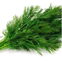 ราคา 500 เมล็ด ผักชี ผักชีลา หรือ ผักหอมป้อม ผักชีลาว ผักชีฝรั่ง ผักสวนครัว (21738212272)