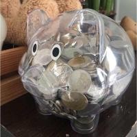 ราคา กระปุกออมสินหมูแถมสติกเกอร์ 2 แผ่น ออมสินสีใส กระปุกออมสินหมู ออมสินหมูสีใส (21793424640)