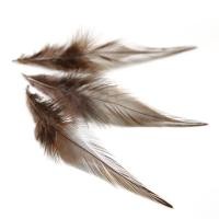 ราคา ขนนกไก่ตัวผู้ไก่ขนไก่ฟ้าคุณภาพสูง100ชิ้นสำหรับงานฝีมือ DIY เครื่องประดับขนนกตกแต่ง (20067820317)