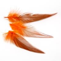 ราคา ขนนกไก่ตัวผู้ไก่ขนไก่ฟ้าคุณภาพสูง100ชิ้นสำหรับงานฝีมือ DIY เครื่องประดับขนนกตกแต่ง (20067820323)