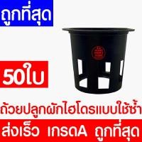 ราคา ค่าส่งถูก ถ้วยปลูกผัก 50ใบ ถ้วยปลูกผักไฮโดรโปนิกส์ ถ้วยปลูกผักไฮโดร ถ้วยปลูกขาว สีขาว แบบใช้ซ้ำ ไฮโดรโปนิกส์ ไฮโดร hydroponic hydro (22023264041)