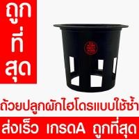ราคา ถ้วยปลูกผัก 20 50 100ใบ ถ้วยสีดำปลูกผัก ผักไฮโดรโปนิกส์ ไฮโดร สลัด salad hydroponic hydro แบบใช้ซ้ำ หนา เหนียว (22023498319)