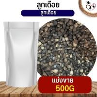 ราคา ลูกเดือย Thai millet อาหารนก กระต่าย หนู กระต่าย กระรอก ชูก้า และสัตว์ฟันแทะ แบ่งขาย 250G 500G 1KG (19768534732)