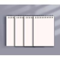 ราคา สมุดโน้ตสันห่วงด้านบนขนาดA6A5และB5มี3แบบ เส้นแนวนอน เส้นกริดและพื้นว่าง ปกพลาสติกขาวขุ่น จำนวน80หน้า (21520442440)