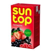 ราคา SUNTOP Orange Alphonso mango Fruit drink Red berries Plneapple (19103399294)