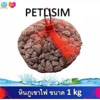 ราคา หินภูเขาไฟ พัมมิส เม็ดเล็ก ขนาด 1 3 มม 1 Kg (8831136623)
