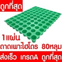 ราคา ค่าส่งถูก ถาดเพาะไฮโดร 1แผ่น ถ้วยปลูกผัก ผักไฮโดร ไฮโดรโปนิกส์ ถาดเพาะ ถาดเพาะเมล็ด ถาดเพาะกล้า ถาดเพาะชำ ปลูกผักไฮโดรโปนิกส์ 80หลุม (21072223552)