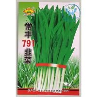 ราคา เมล็ดกุยช่าย กุยช่ายก้านม่วง เมล็ดกุยช่ายขาว (21409046862)
