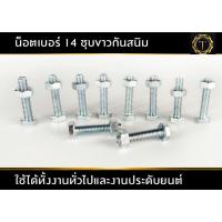 ราคา น็อตเบอร์ 14 ขนาด 5 16x1 5นิ้ว 10 ชุดตัวผู้และตัวเมีย น็อตใส่คอก น็อต น็อตโรลบาร์ (21424536234)