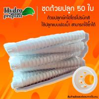 ราคา ถ้วยปลูกผักไฮโดรโปนิกส์สีขาว เกรดA แพ็คละ 100 ใบ พร้อมส่ง ราคาถูก (22446297979)