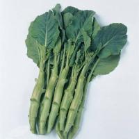 ราคา 500 เมล็ด คะน้า คะน้าใบ คะน้าเห็ดหอม คะน้าก้านใหญ่ คะน้าจีน คะน้าฮ่องกง Brassica oleracea var Alboglabra seeds (21822871406)