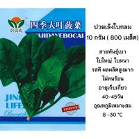 ราคา เมล็ดปวยเล้ง ปวยเล้งญี่ปุ่น 250 1600เมล็ด 5 40กรัม สายพันธุ์ OP (21461941079)