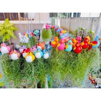 ราคา ตุ๊กตาเคราฤาษี ตุ๊กตาเคราฤาษี คละแบบ เลือกได้ จำนวน 1 ชิ้น พร้อมเชือก ไม่มีต้นไม้ (22300614402)