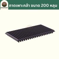 ราคา ถาดเพาะกล้า 200 หลุม หนา 0 8 มม ถาดเพาะเมล็ด ถาดเพาะชำ ถาดเพาะต้นกล้า ถาดเพาะต้นอ่อน ถาดเพาะ ถาดเพาะปลูกผัก เมล็ด เมล็ดพันธุ์ (22576081098)