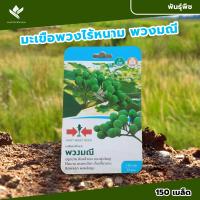 ราคา ศรแดง เมล็ดพันธุ์มะเขือพวง พวงมณี East West Seed เมล็ดพันธุ์ผัก เมล็ดพันธุ์ ผักสวนครัว ตราศรแดง 150 เมล็ดต่อซอง ใช้พื้นที่ 75 ตรม (21364624060)