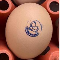 ราคา ไข่เชื้อไก่ประดู่หางดำ ฟองละ 30 บาท รับ 10 ฟอง แถมฟรีเพิ่มให้อีก 2 ฟอง (21569249246)