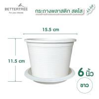 ราคา กระถางพลาสติกสีสดใส ขนาด 4 นิ้ว และ 6 นิ้ว กระถาง (21424259565)