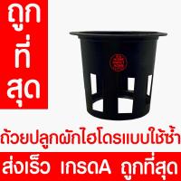 ราคา ถ้วยปลูกผัก 20 50 100ใบ ถ้วยสีดำปลูกผัก ผักไฮโดรโปนิกส์ ไฮโดร สลัด salad hydroponic hydro แบบใช้ซ้ำ หนา เหนียว (22007606725)