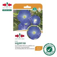 ราคา ผักบุ้งฝรั่ง บลูสกาย SD FW 022 เมล็ดพันธุ์ ผักสวนครัว ตราศรแดง (20686896096)