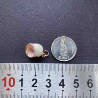 ราคา จี้เปลือกหอยสังข์ธรรมชาติ จี้หอยชุบทอง seashells pendant gold plated pendant (21566854603)