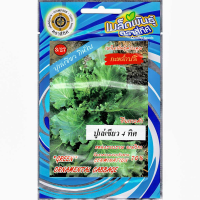 ราคา เมล็ดพันธุ์ กะหล่ำ ปูเล่เขียว 4 ทิศ ตราสี่ทิศ (1367050585)
