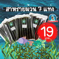 ราคา ส่งไว ไม่เหม็นหืน สาหร่ายม้วน สาหร่ายอบกรอบ สาหร่ายทะเล ของแท้ 1ห่อมี 7 แท่ง กรอบ อร่อย ไม่เหม็นหืน (12765511811)
