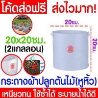 ราคา ส่งเร็ว กระถางผ้า 20x20cm 2แกลลอน กระถางต้นไม้ กระถาง สีขาว มีหูหิ้ว กระถางผ้าปลูกต้นไม้ ถุงปลูกต้นไม้ กระถางขาว Non woven fabric Grow bag flower pot (19453775942)