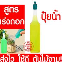 ราคา ค่าส่งถูก ถาดเพาะกล้า 60หลุม 104หลุม ถาดเพาะชำ ถาดเพาะต้นกล้า ถาดเพาะต้นอ่อน ถาดเพาะเมล็ด ถาดเพาะปลูกผัก แบ่งขาย สั่ง 4ชิ้นขึ้นไป (16596945160)