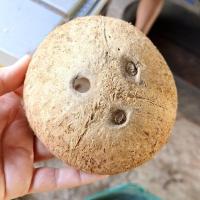 ราคา กะลา กะลามะพร้าว ฝาบน มีตา มีรู ตัดขอบปากเรียบ ขัดทำความสะอาด ด้านนอก ด้านใน พร้อมใช้งาน 4 0 6 นิ้ว (22563709921)