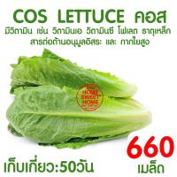 ราคา โค้ดส่งฟรี กล่องโฟมปลูกผัก กล่องโฟม ลังโฟม กล่องโฟมปลูกผักไฮโดร ลังโฟม กล่องใส่กุ้ง กล่องลังโฟม 10กก กล่องกุ้ง กล่องเปล่ากุ้ง (17423081690)