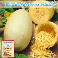 ราคา ฟักทองสปาเก็ตตี้ Spaghetti Squash เมล็ดพันธุ์ 3 40 เมล็ด ปลูกง่าย โตไว ซื้อ 10 แถม 1 คละได้ (22351004159)