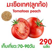 ราคา ค่าส่งถูก ผักสลัด เมล็ดผัก เมล็ดผักสลัด 2000เมล็ด เมล็ดพันธุ์ เมล็ดพันธุ์ผักสลัด งอกดี ปลูกผัก สลัด กรีนโอ๊ค คอส ผักโขม ไฮโดร hydroponic (20354761120)