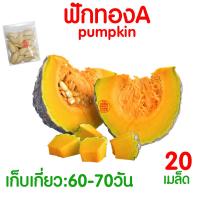 ราคา ค่าส่งถูก ผักสลัด เมล็ดผัก เมล็ดผักสลัด 2000เมล็ด เมล็ดพันธุ์ เมล็ดพันธุ์ผักสลัด งอกดี ปลูกผัก สลัด กรีนโอ๊ค คอส ผักโขม ไฮโดร hydroponic (20354761150)