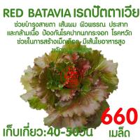 ราคา ค่าส่งถูก ถาดเพาะไฮโดร 1แผ่น ถ้วยปลูกผัก ผักไฮโดร ไฮโดรโปนิกส์ ถาดเพาะ ถาดเพาะเมล็ด ถาดเพาะกล้า ถาดเพาะชำ ปลูกผักไฮโดรโปนิกส์ 80หลุม (21072223585)